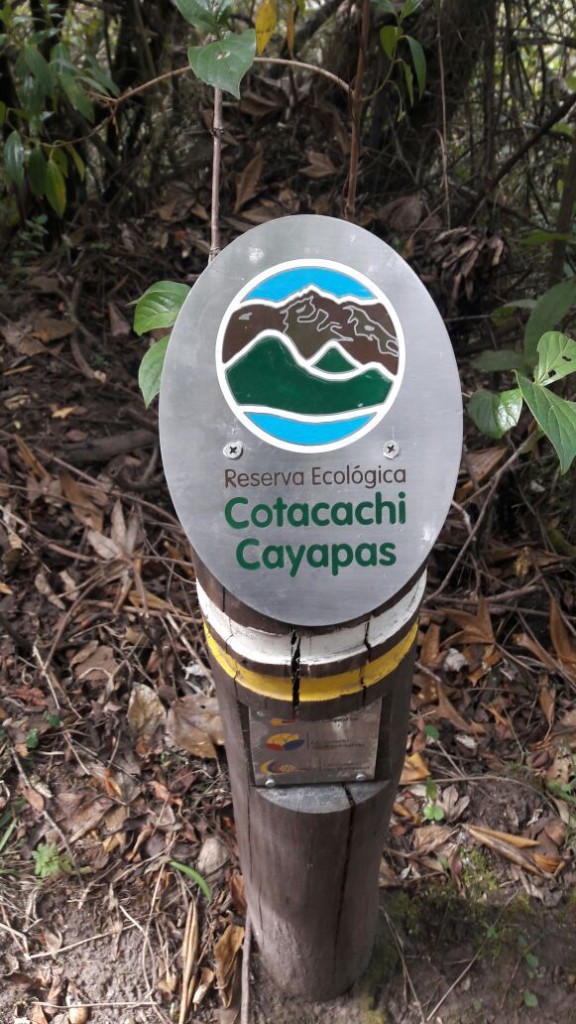 Ecuador-cotacachi-cayapas